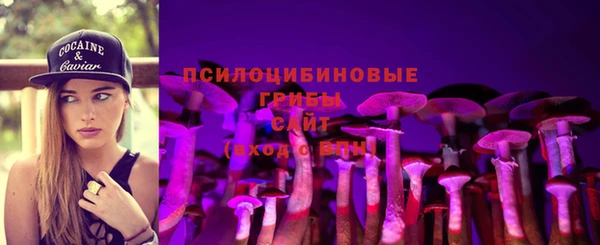 экстази Новодвинск